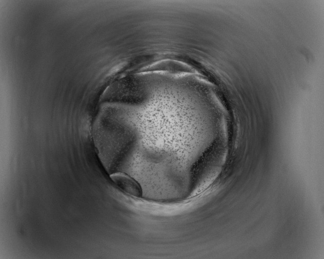 X0000116780048200912311906