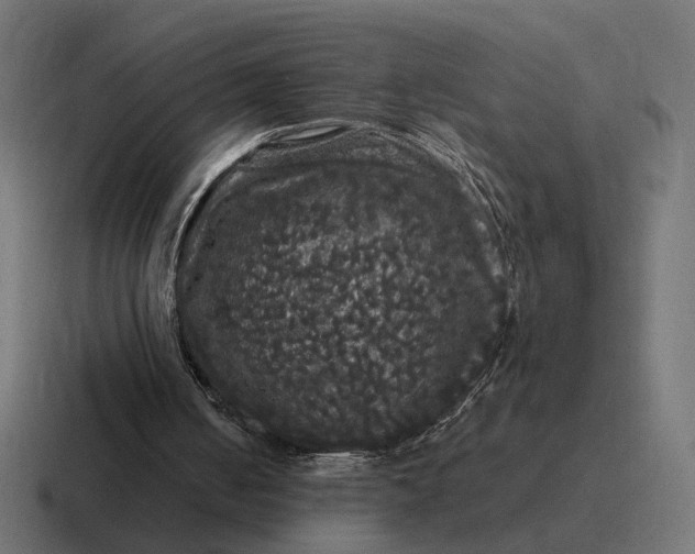 X0000116780050200912311905