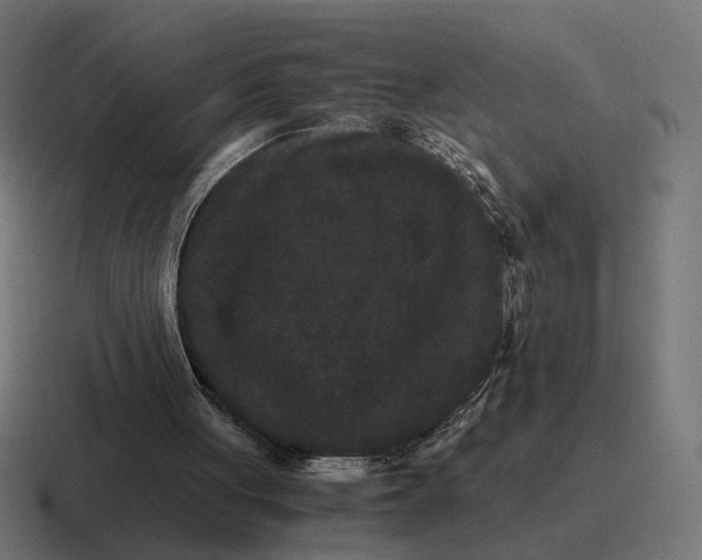 X0000116780051200912311905