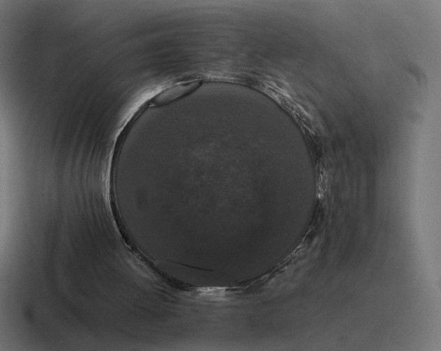 X0000116780052200912311905