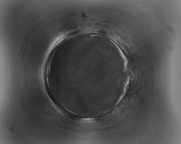 X0000116780053200912311905