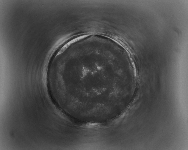 X0000116780055200912311905