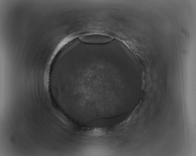 X0000116780056200912311905