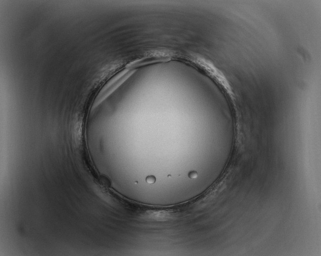 X0000116780057200912311905