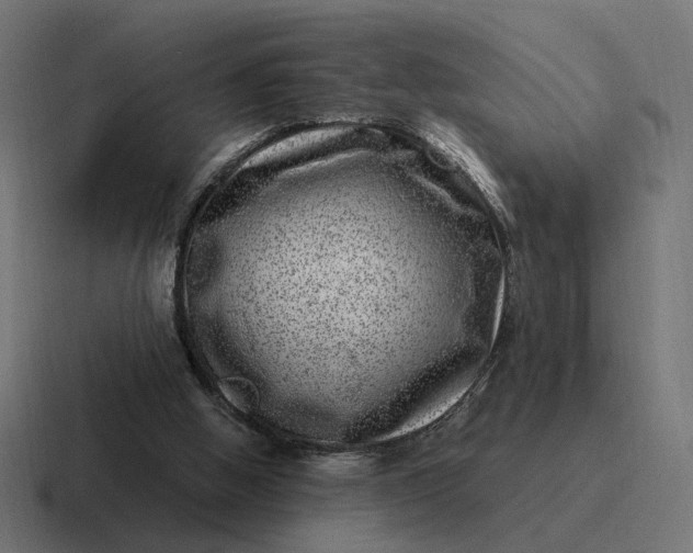 X0000116780058200912311905