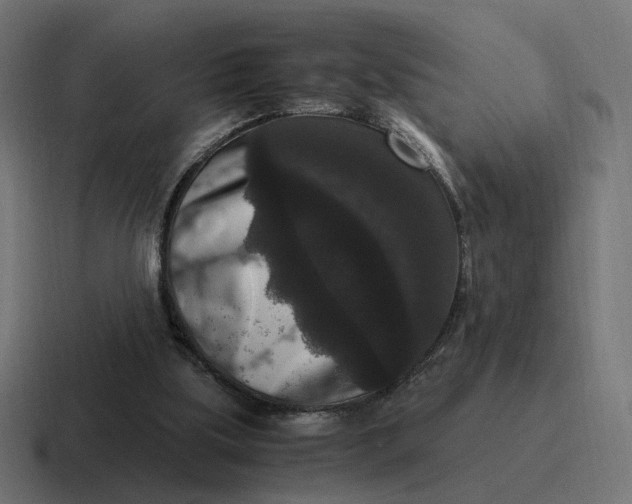 X0000116780059200912311905