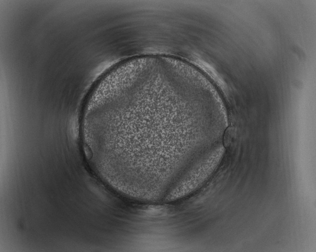 X0000116780060200912311905