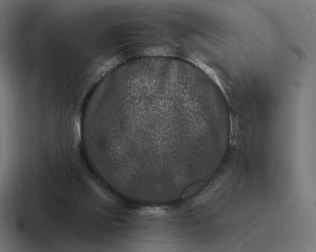 X0000116780061200912311905