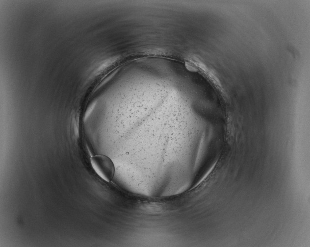 X0000116780062200912311905