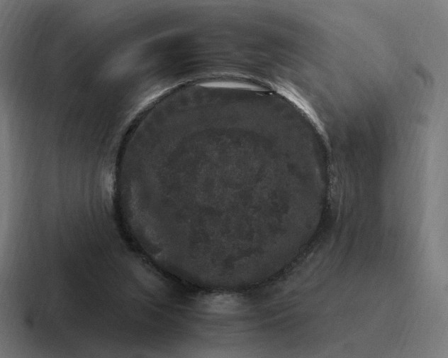 X0000116780063200912311905