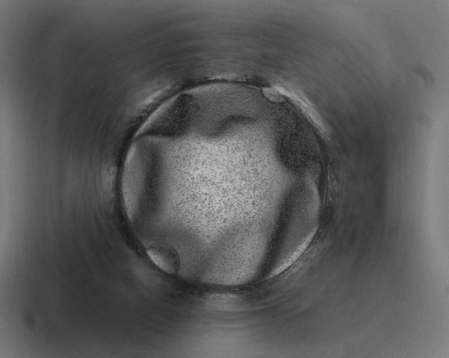 X0000116780066200912311905