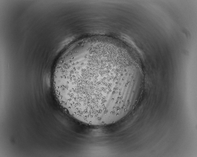 X0000116780068200912311905