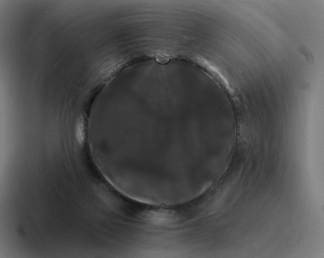 X0000116780069200912311905