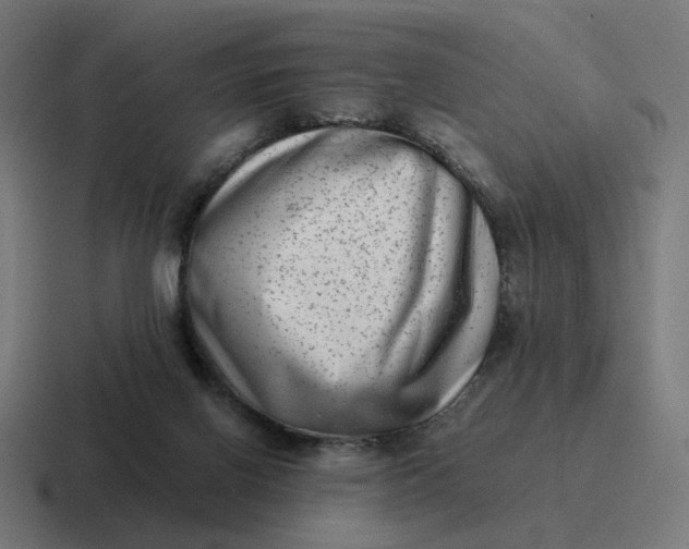 X0000116780070200912311905