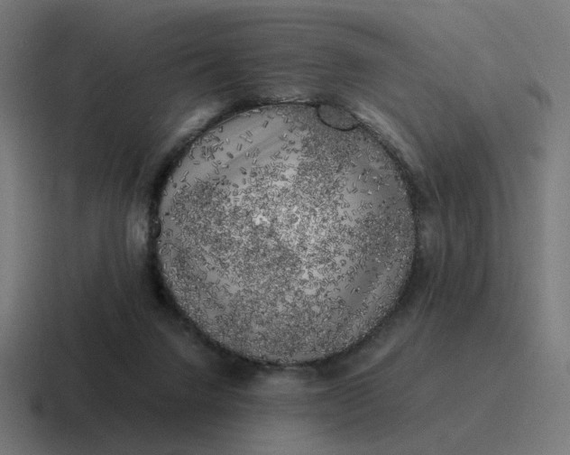 X0000116780072200912311905