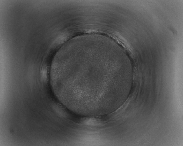 X0000116780074200912311905