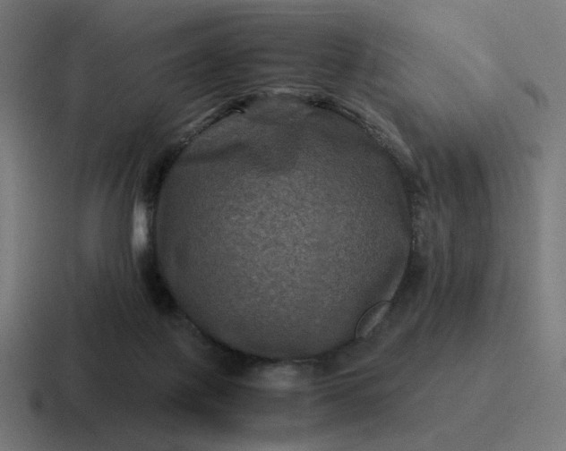 X0000116780075200912311905