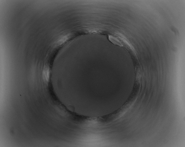 X0000116780076200912311905