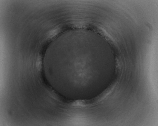 X0000116780080200912311905