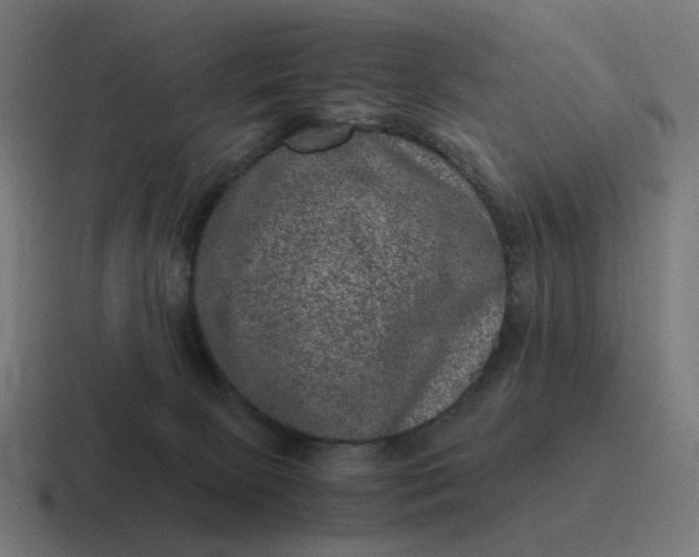 X0000116780081200912311905