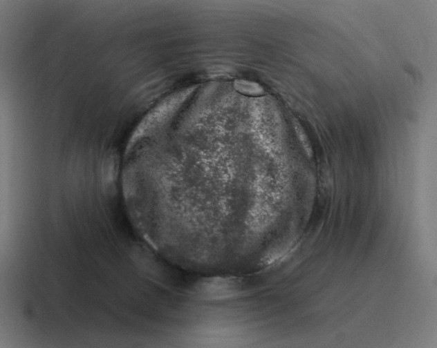 X0000116780082200912311905