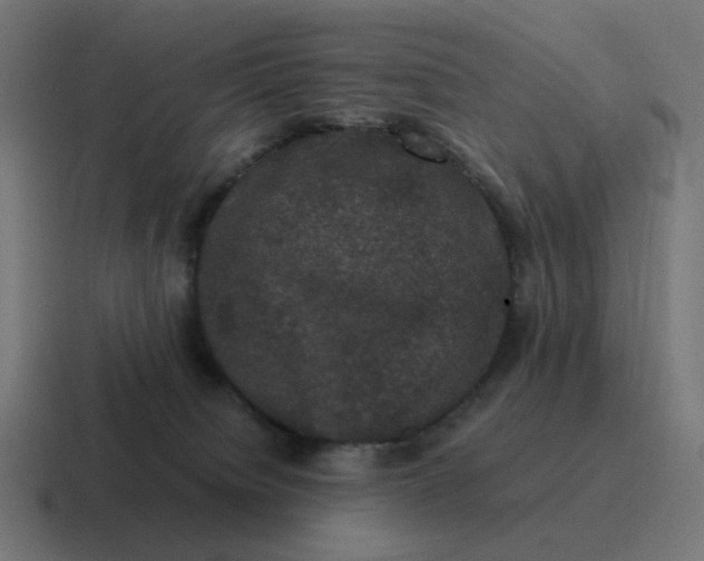 X0000116780084200912311906