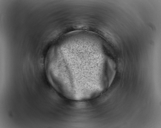 X0000116780085200912311906