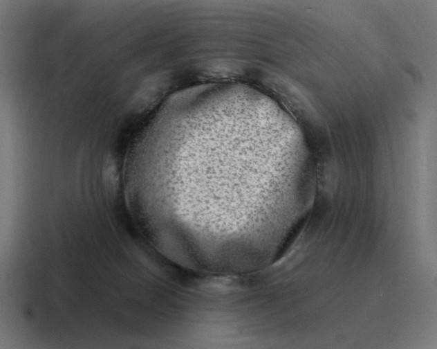 X0000116780086200912311906