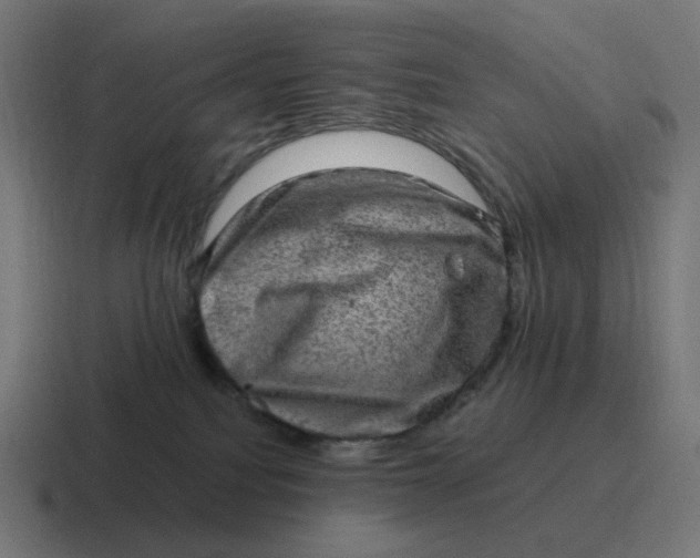 X0000116780088200912311906