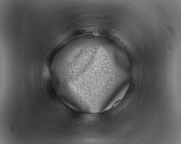 X0000116780089200912311906