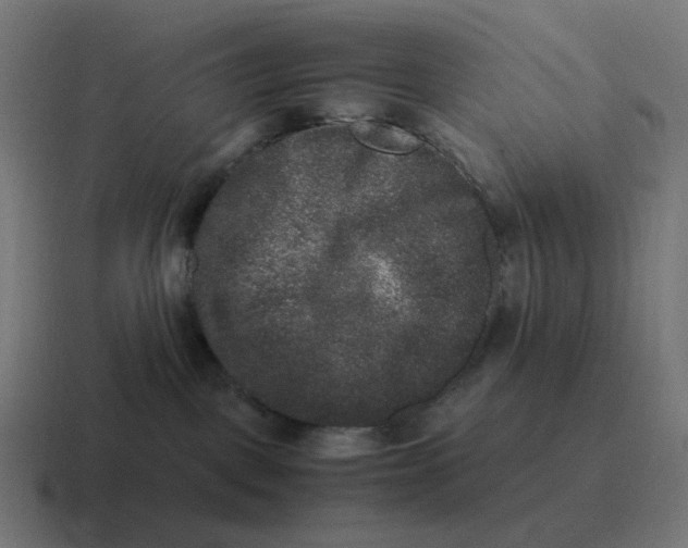 X0000116780093200912311906