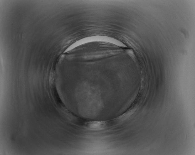 X0000116780096200912311906