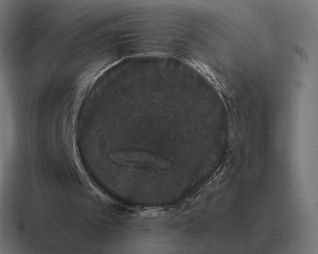 X0000116780097200912311905