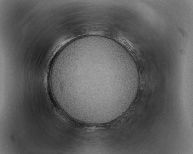 X0000116780098200912311905