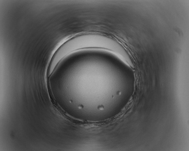 X0000116780100200912311905