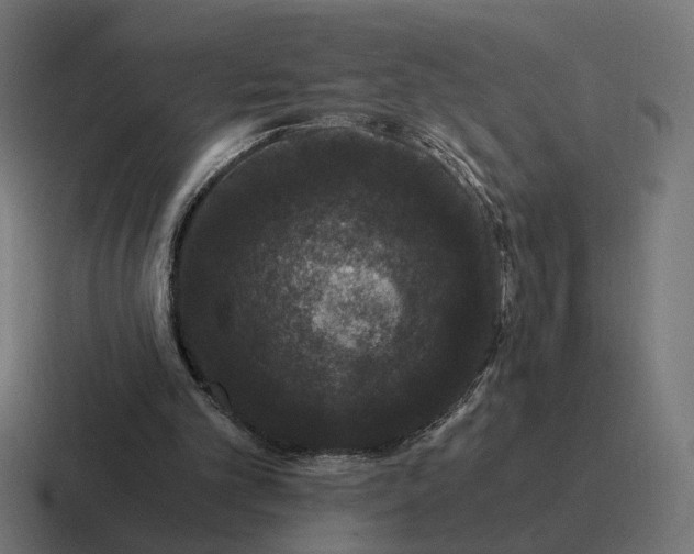 X0000116780101200912311905