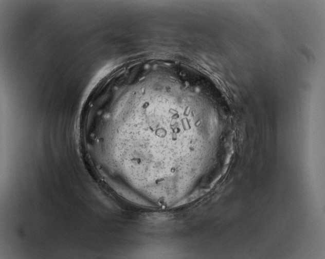 X0000116780102200912311905