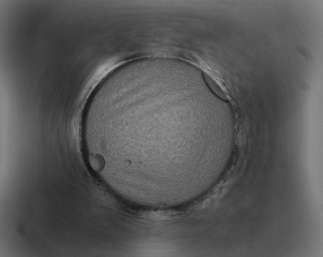 X0000116780103200912311905