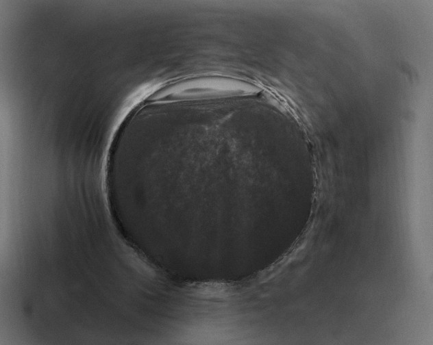 X0000116780104200912311905