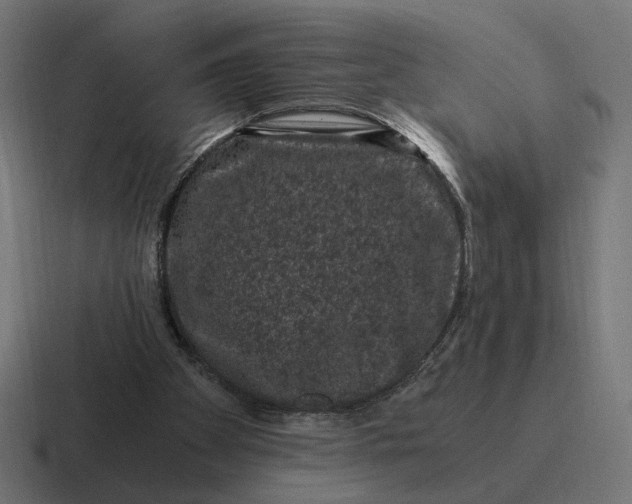 X0000116780105200912311905