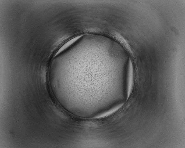 X0000116780106200912311905