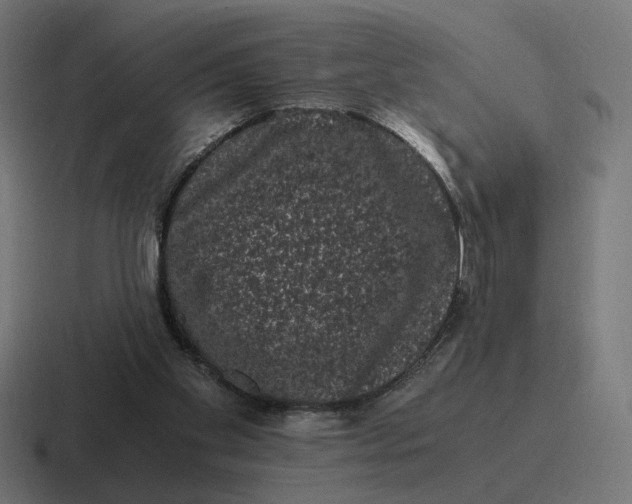 X0000116780109200912311905