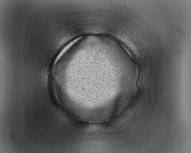 X0000116780111200912311905