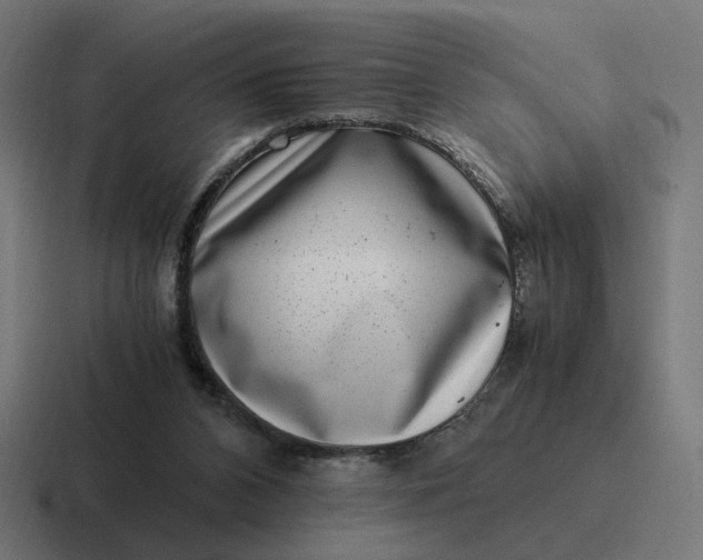 X0000116780112200912311905