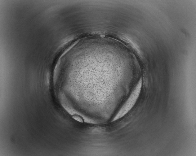 X0000116780115200912311905