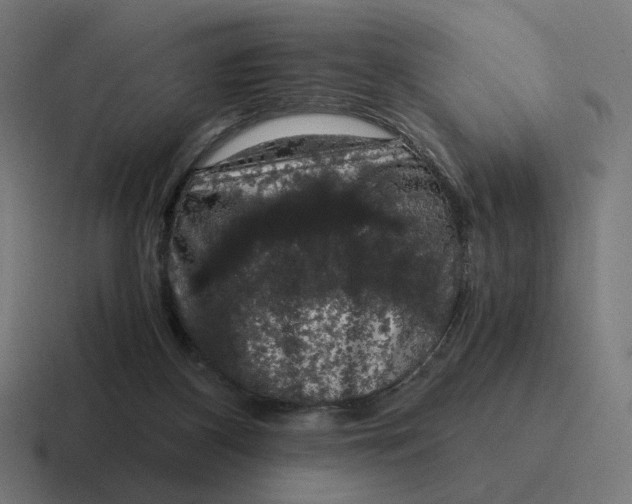 X0000116780116200912311905