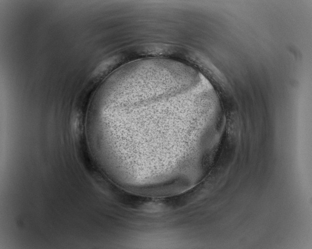 X0000116780119200912311905