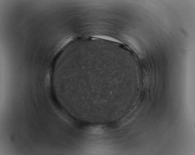 X0000116780120200912311905