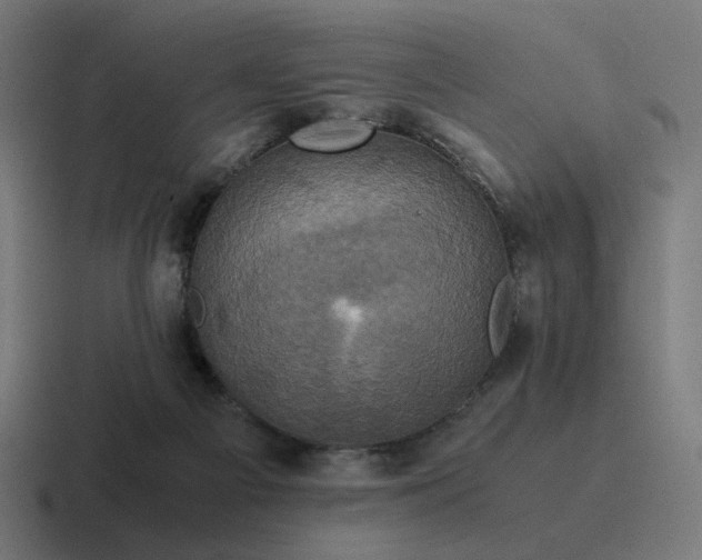 X0000116780121200912311905