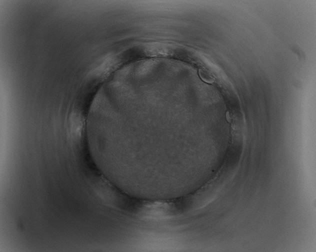 X0000116780125200912311905